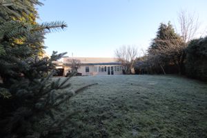 Photo 15- click for photo gallery